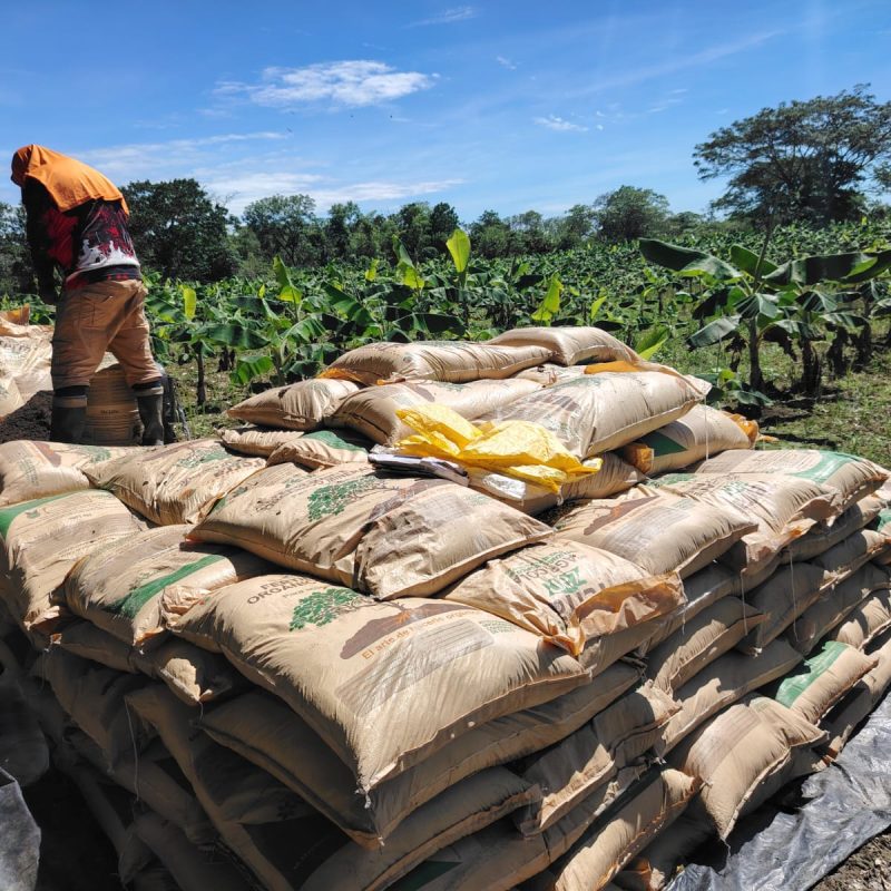 WhatsApp Image 2025-08-19 at 4.49.20 PM