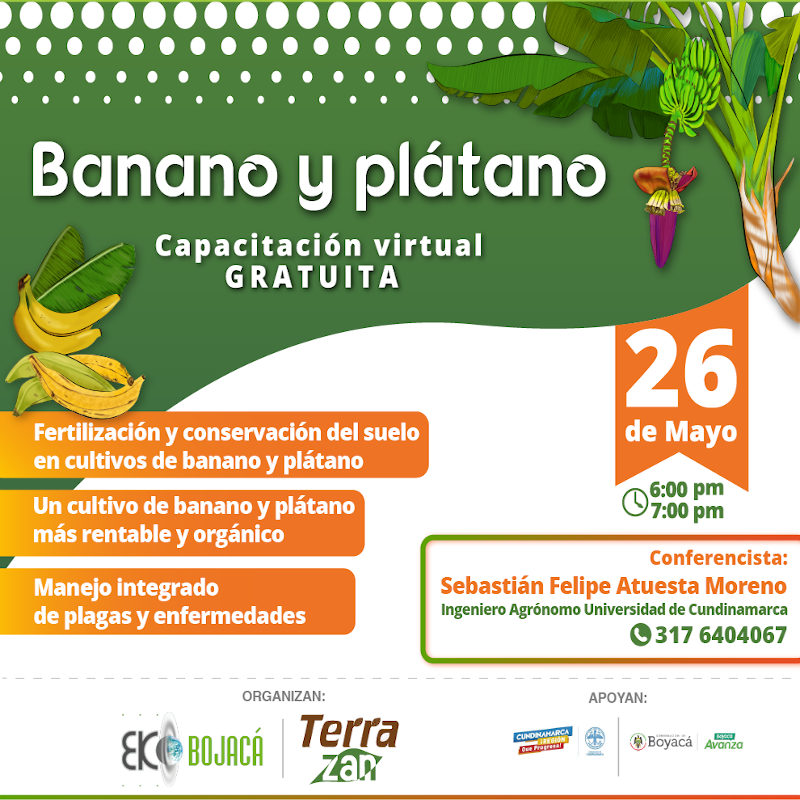 Capacitación Gratuita: Cultivos orgánicos de Banano y plátano