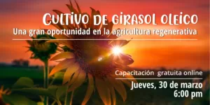 Capacitación: Cultivos de Girasol Oleico, una gran oportunidad para la agricultura regenerativa
